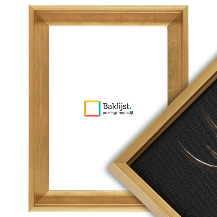 Baklijst Alto - Bladgoud - 4 cm diep profiel
